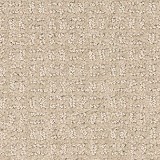 Mohawk Carpet
Quality Surface